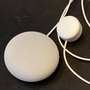 Google Nest Mini Speaker in Soft Gray